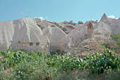 Cappadocia, the Rose valley